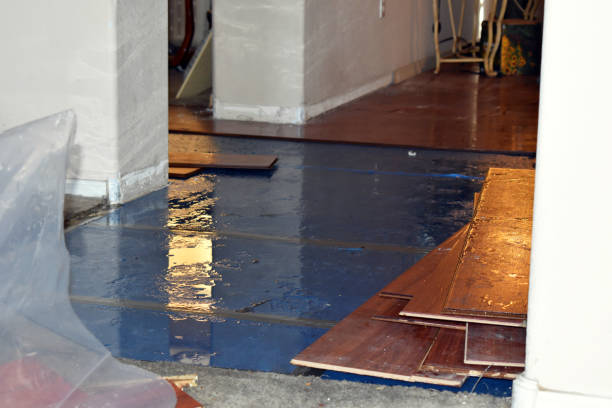 Professional Sewage Cleanup technician working in Albany, WI